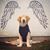 Evelin Papas's profile image