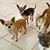Judy Tracy Fialko's profile image