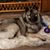 Sandy Anderson's profile image
