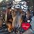 Terri Jo Hoffart's profile image