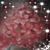Karen Hathaway's profile image