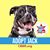 Courtnie Michals-Klinesmith's profile image