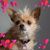 Brenda Manners's profile image