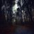 Christine Woerner's profile image