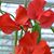 Nancy Larsen's profile image