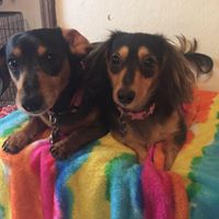 Ruthie Fugerer's profile image