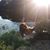 Brianna Avillo's profile image