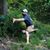 Matt Caswell's profile image