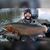 Brady Stasa's profile image