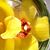 MaryAnn Bowen Monroe's profile image