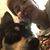 Kathy Edwards's profile image