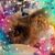 Sandra Lentz's profile image