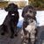 Wanda McGuigan's profile image