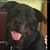 Dee Dee Burke's profile image