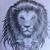 Bruce Colyer's profile image