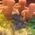 Kathy Legett Morris's profile image