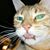 John John's profile image