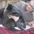 Linda Heemskerk's profile image