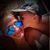 Ashley Cross's profile image