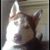 Michele Divins's profile image