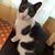Karen Latta's profile image