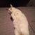 Penelope Winger's profile image