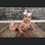 Shaelyn Anderson's profile image