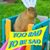 Bebe G Rill's profile image