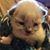 Janet Hartleben's profile image