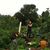 Marcie Maynard's profile image