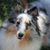 Tami Mackley Borneman's profile image