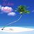 Laurie Whisner's profile image