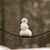Heidi Mireles's profile image
