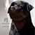 PeterKathleen Hawes's profile image