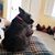 Marilyn Abernathy's profile image