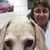 Penny McCullough's profile image