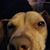 Angie Hebel's profile image