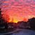 Irit Azulay Price's profile image