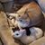 Tammy Crossland's profile image