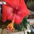 Mary Pat P Connors's profile image