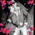 Amanda Stegenga's profile image
