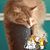 Author Tori Bailey's profile image
