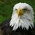 Esther Dahl's profile image