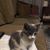 Betty Cole's profile image