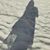 Amanda Jolly Knowles's profile image