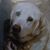 Haley Proietto's profile image