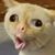 Alejo Ortiz's profile image
