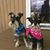 Julie Hulne's profile image