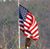 Dina Clower's profile image