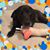 Peggy McManus's profile image